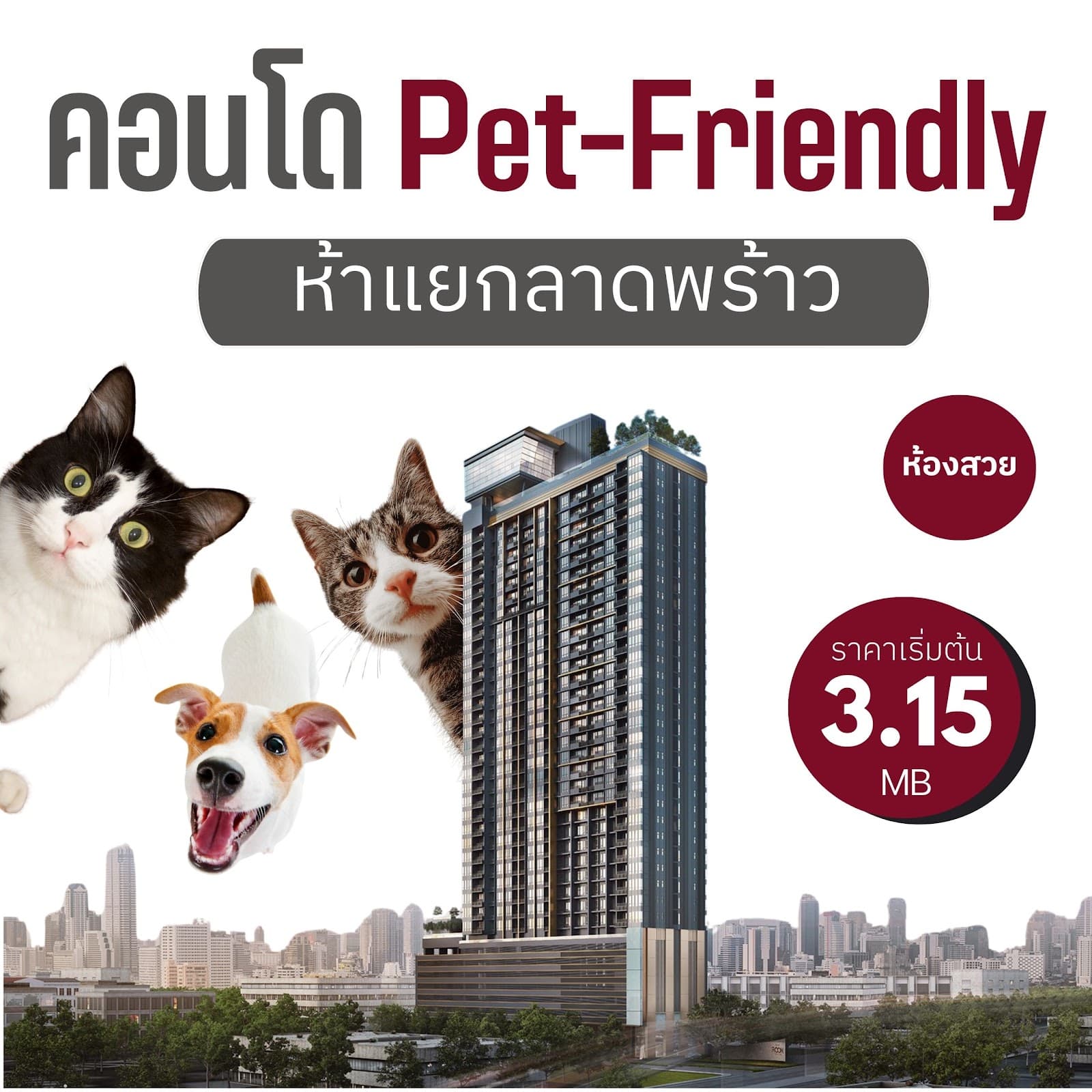 Pet-Friendly Condos Around Ha Yaek Lat Phrao: The Best Location for You and Your Furry Boss