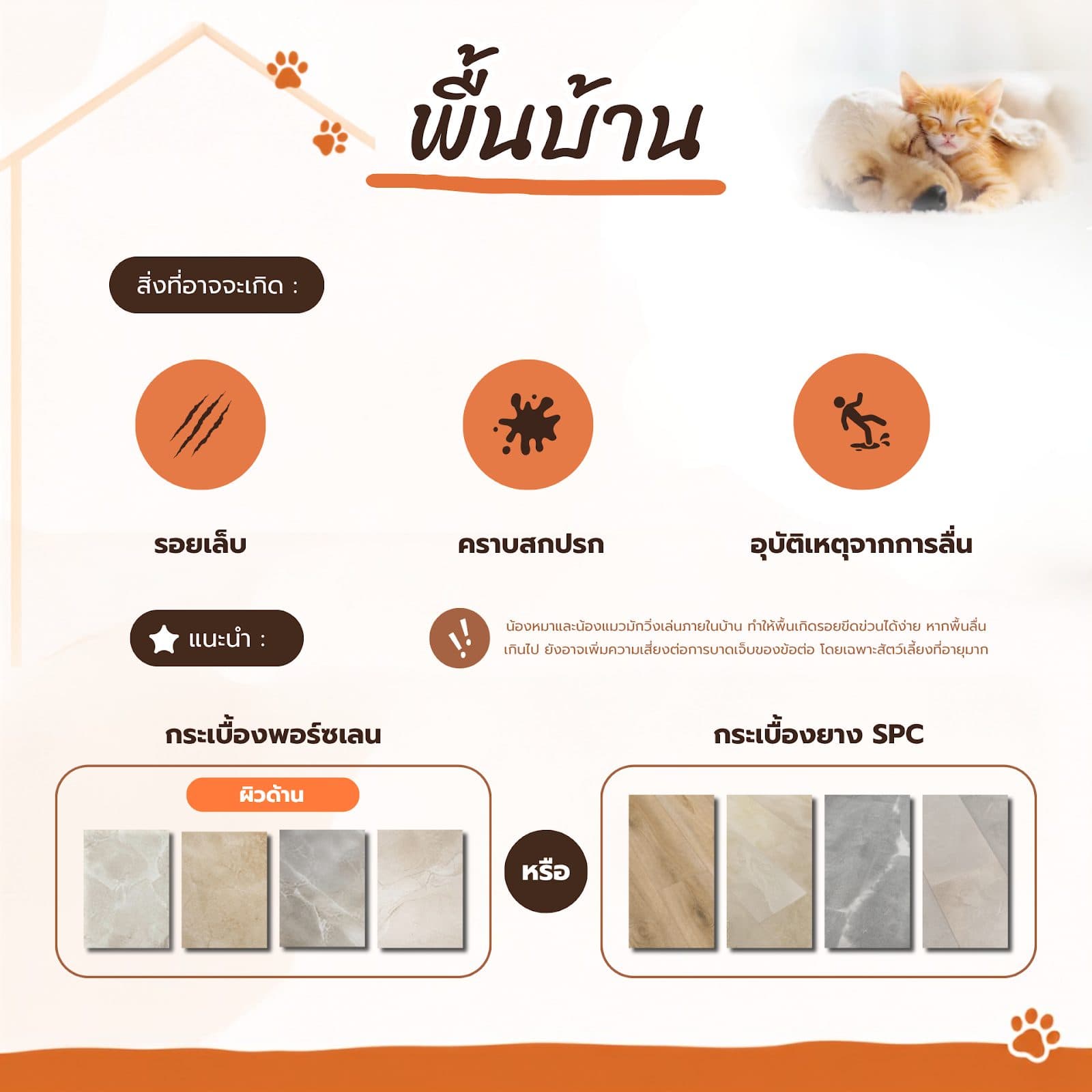 บ้าน Pet Friendly เลือกวัสดุอย่างไรให้ถูกใจสี่ขา เช็กลิสต์แต่งบ้านฉบับทาส
