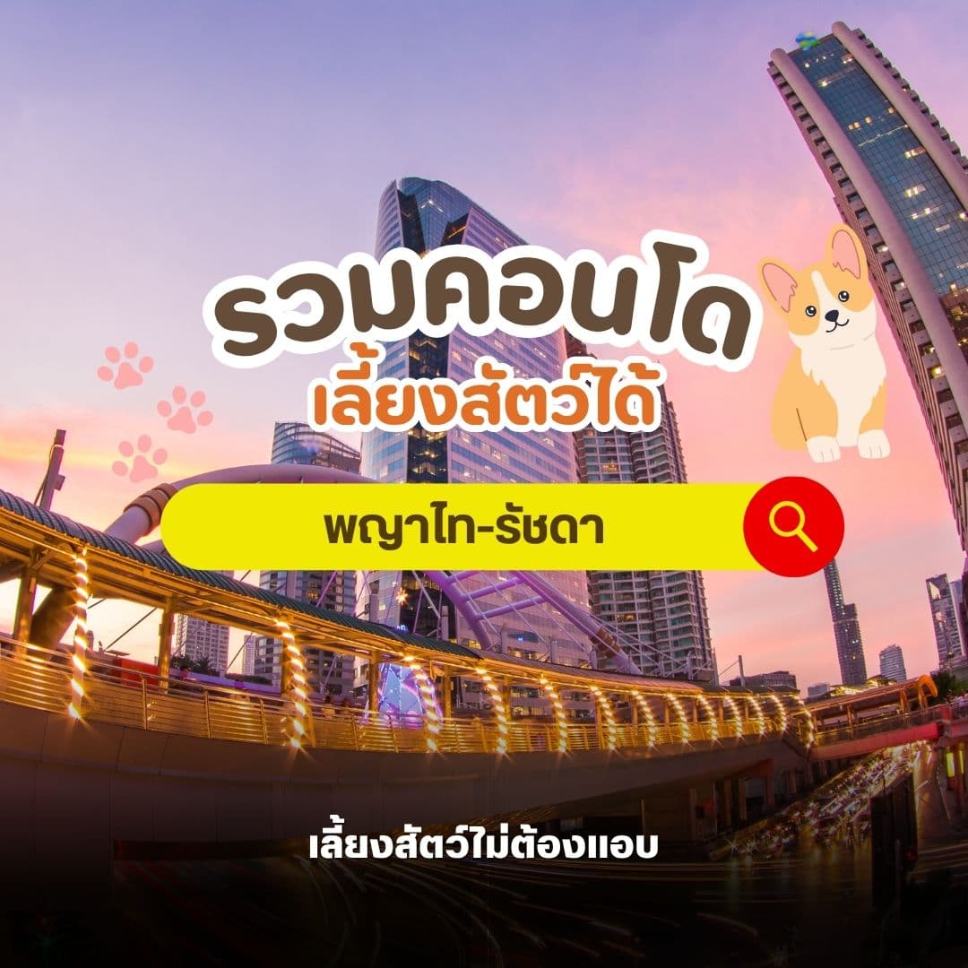 เลี้ยงสัตว์ไม่ต้องแอบ รวมคอนโดเลี้ยงสัตว์ได้ โซนพญาไท – รัชดา