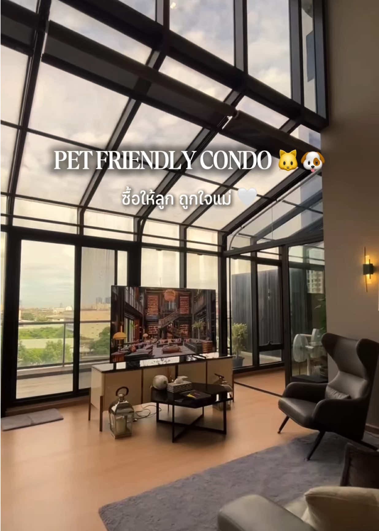 Pet Friendly Condo ที่ฮอตสุดในตอนนี้ ติดรถไฟฟ้าย่านจัตุจักร วิวสวยไม่ติดบล็อก