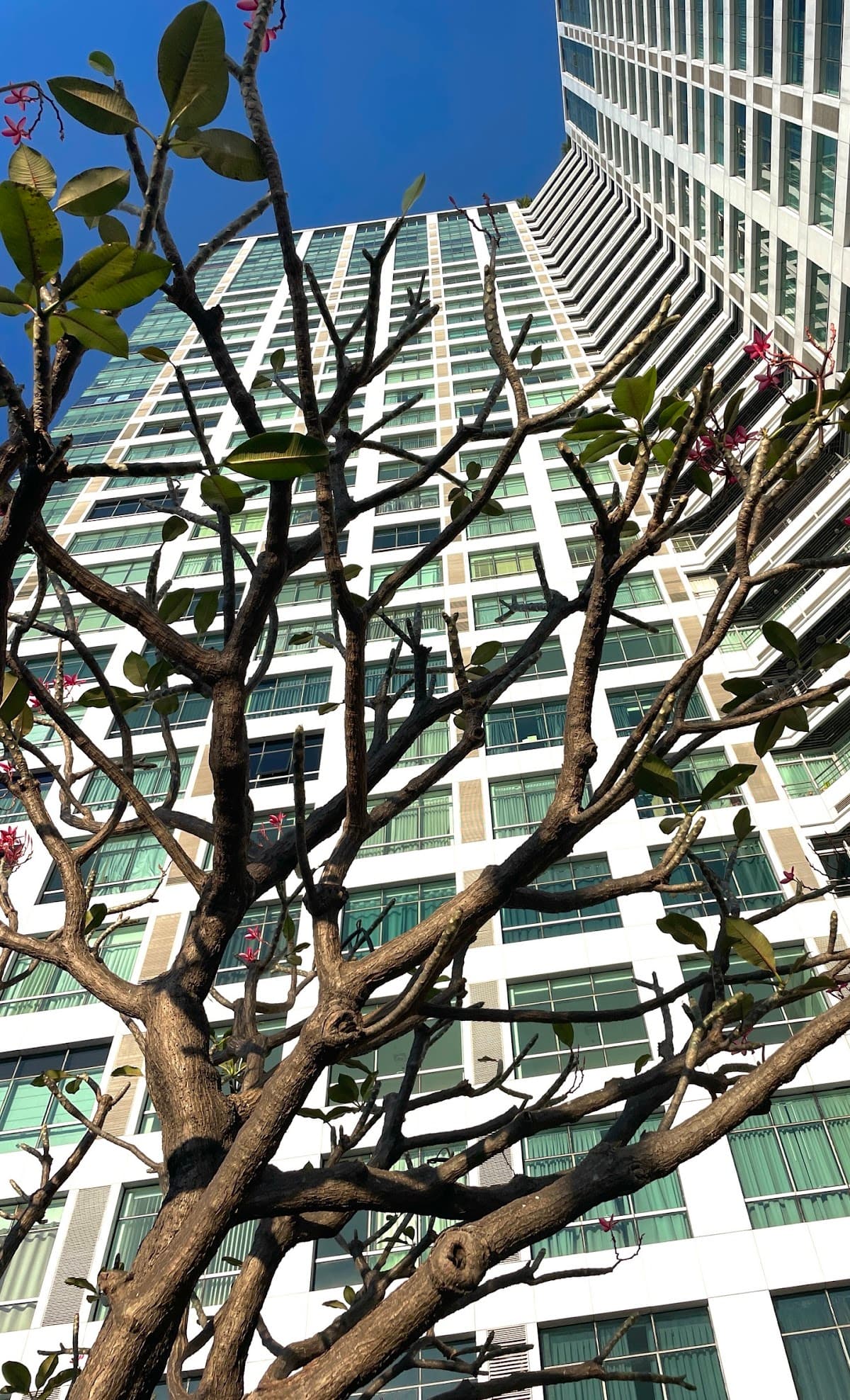 Baan Sathorn-Chaopraya