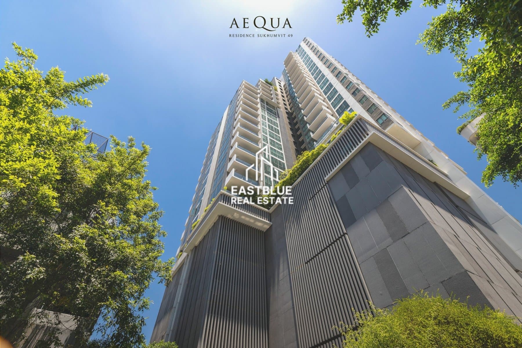 ให้เช่า คอนโด Aequa Sukhumvit 49 · 1 ห้องนอน · 56 ตร.ม.